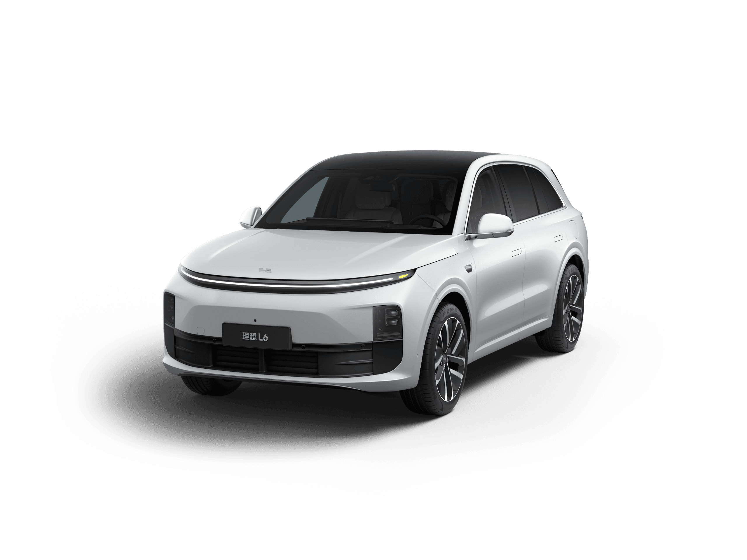L6 model in White Pearl color