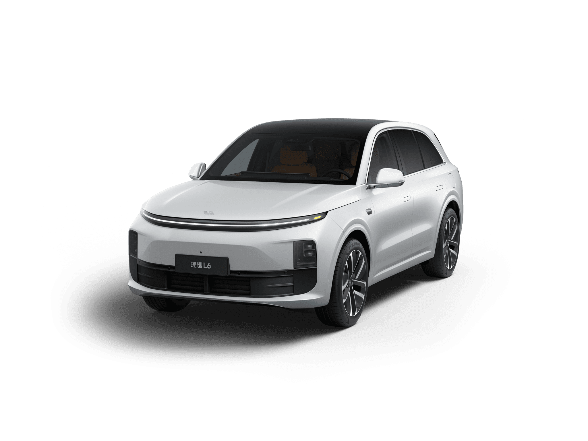 L6 model in White Pearl color