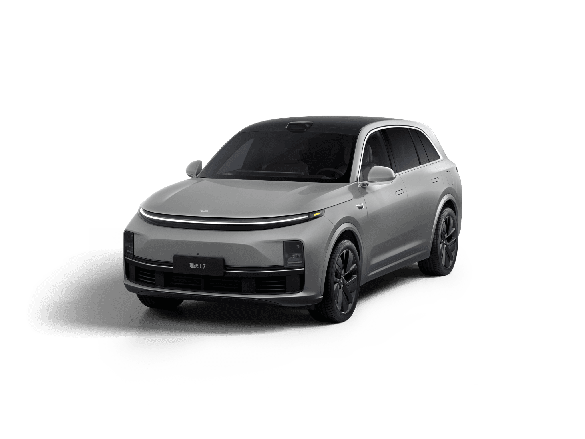 L7 model in Silver Metallic color